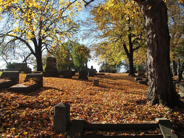 Representative cemetery grounds, not this plot