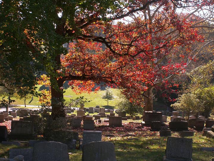 Representative cemetery grounds, not this plot