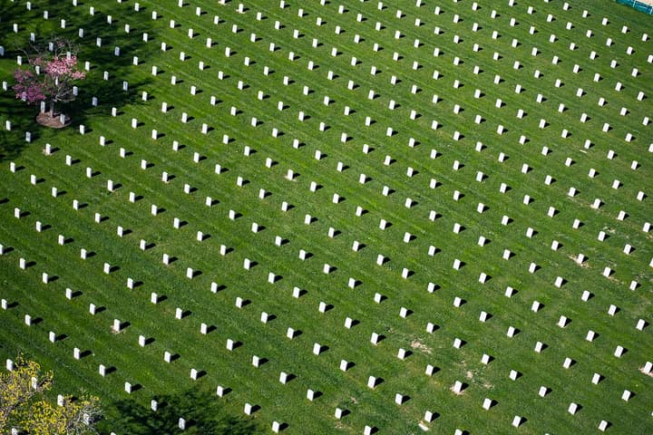 Representative cemetery grounds, not this plot