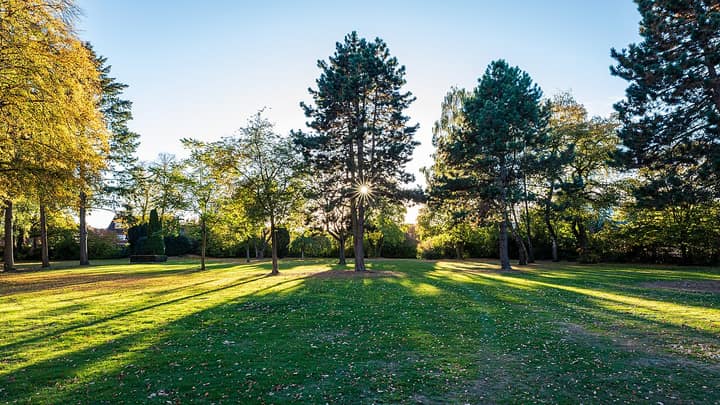 Representative cemetery grounds, not this plot