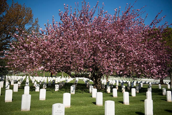 Representative cemetery grounds, not this plot