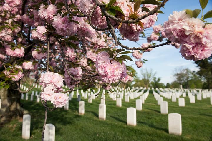 Representative cemetery grounds, not this plot