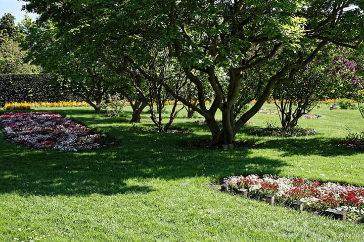 Representative cemetery grounds, not this plot