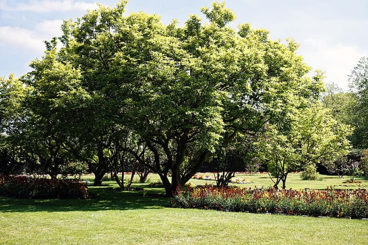 Representative cemetery grounds, not this plot