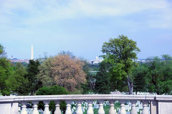 Representative cemetery grounds, not this plot