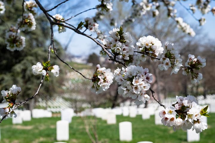 Representative cemetery grounds, not this plot