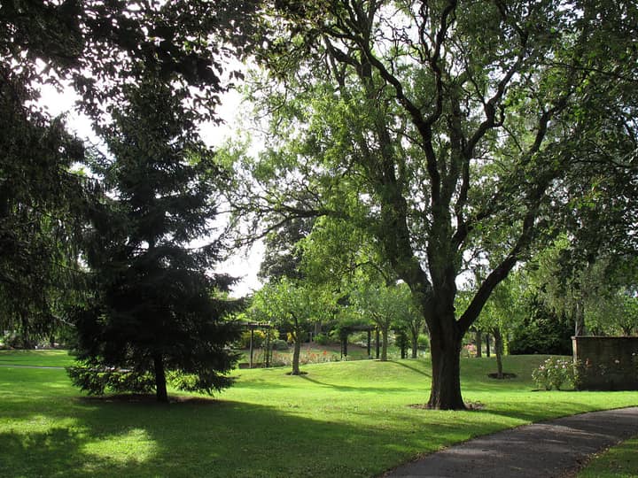 Representative cemetery grounds, not this plot