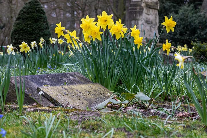 Representative cemetery grounds, not this plot