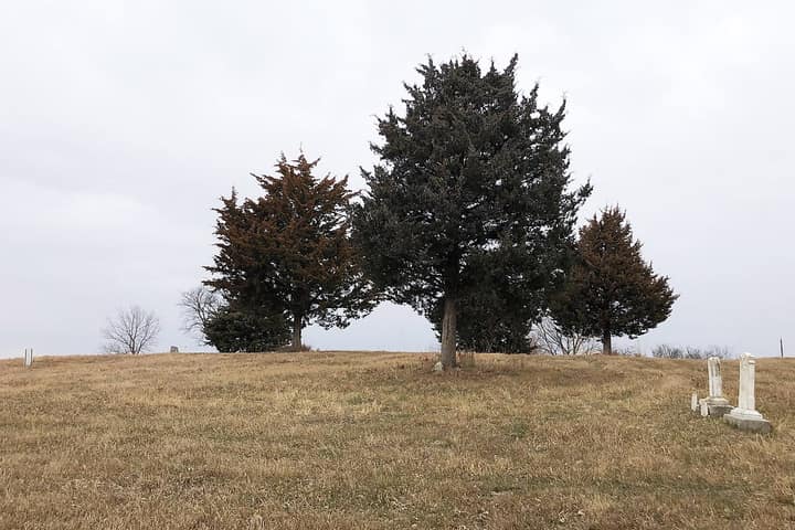 Representative cemetery grounds, not this plot