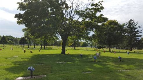 Adjoining Plots for Sale (Section 1B)